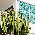 Hotel Axel Maspalomas - Adults Only Playa del Ingles (Gran Canaria)