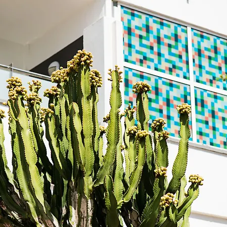 Hotel Axel Maspalomas - Adults Only Playa del Ingles (Gran Canaria)