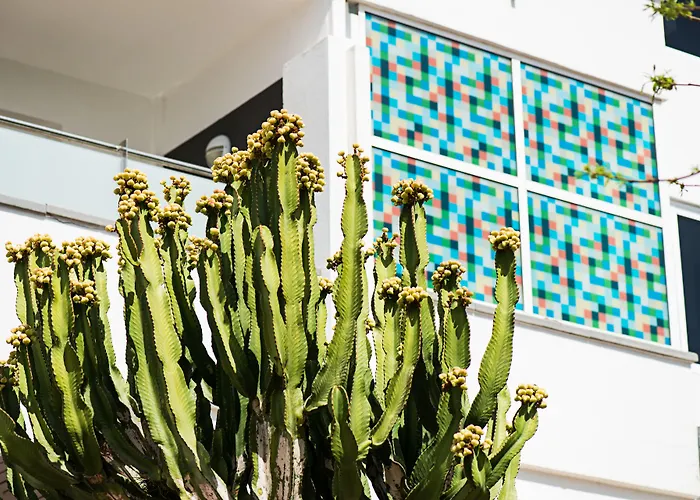 Hotel Axel Maspalomas - Adults Only Playa del Ingles (Gran Canaria)